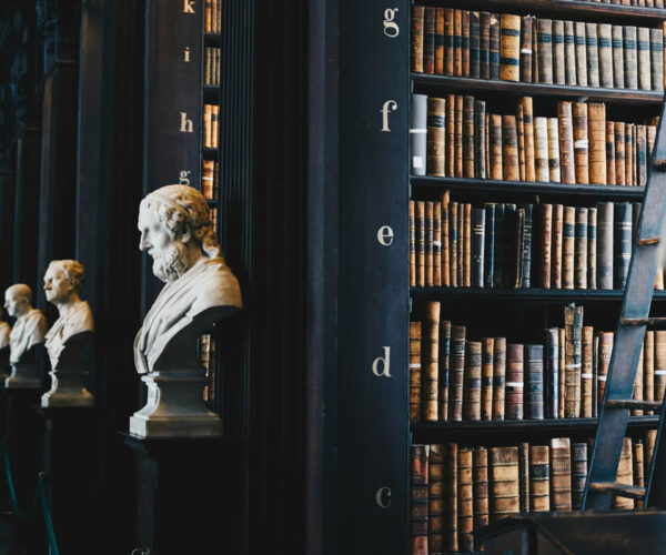 Avocat en droit public, social et fiscal à Nîmes
